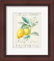 Framed 'Floursack Lemon II' border=