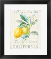 Framed 'Floursack Lemon II' border=