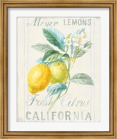 Framed Floursack Lemon II