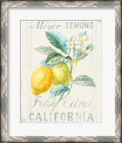 Framed Floursack Lemon II