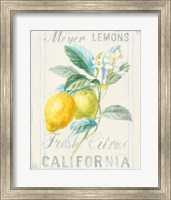 Framed Floursack Lemon II