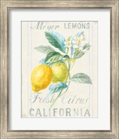 Framed 'Floursack Lemon II' border=