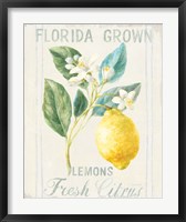 Framed Floursack Lemon I