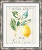 Framed 'Floursack Lemon I' border=