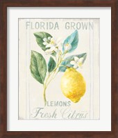 Framed Floursack Lemon I