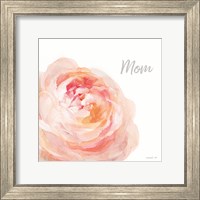 Framed Garden Rose on White Crop II Mom