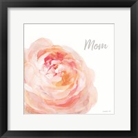 Garden Rose on White Crop II Mom Framed Print