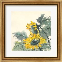 Framed Sunflower II