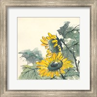 Framed 'Sunflower II' border=
