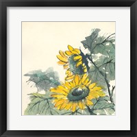 Sunflower II Framed Print
