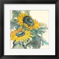 Framed Sunflower I