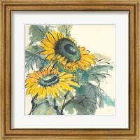 Framed Sunflower I
