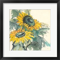Sunflower I Framed Print