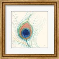Framed Peacock Feather II