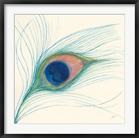 Framed Peacock Feather I