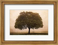 Framed Hopeful Oak