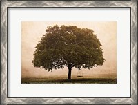 Framed Hopeful Oak