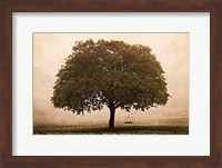 Framed Hopeful Oak