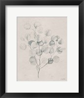 Soft Summer Sketches II Framed Print