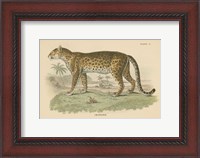 Framed Vintage Leopard