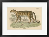 Framed Vintage Leopard