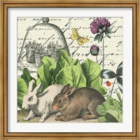 Framed Garden Rabbit II