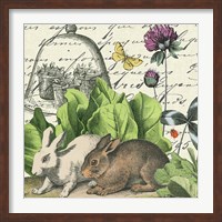 Framed Garden Rabbit II