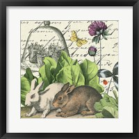 Framed 'Garden Rabbit II' border=