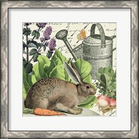 Framed 'Garden Rabbit I' border=