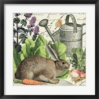 Framed Garden Rabbit I