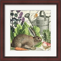 Framed Garden Rabbit I