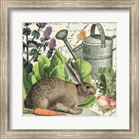Framed 'Garden Rabbit I' border=