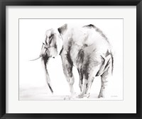 Framed Lone Elephant Gray Crop