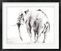 Framed Lone Elephant Gray Crop