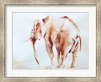 Framed Lone Elephant
