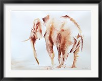 Framed Lone Elephant
