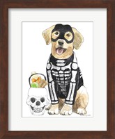 Framed Halloween Pets VII