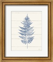 Framed Fern Print I Blue Crop