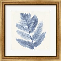 Framed Forest Ferns I Blue