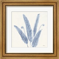 Framed Forest Ferns II v2 Blue