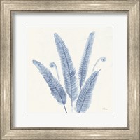 Framed Forest Ferns II v2 Blue