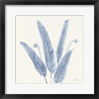 Framed Forest Ferns II v2 Blue