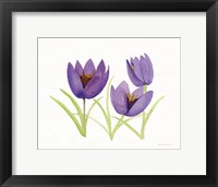 Easter Blessing Flowers VII Framed Print