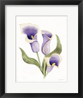 Easter Blessing Flower III Framed Print