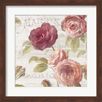 Framed French Roses V