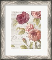 Framed French Roses III