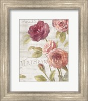 Framed French Roses III