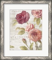 Framed 'French Roses III' border=