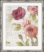 Framed French Roses III