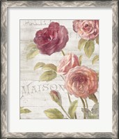 Framed 'French Roses III' border=